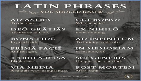 A Profile Of A Latin Beauty