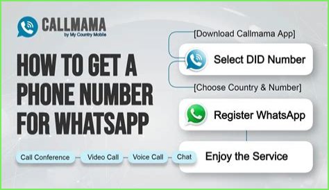 Tarayummy Phone Number, WhatsApp Number Contact Number Mobile